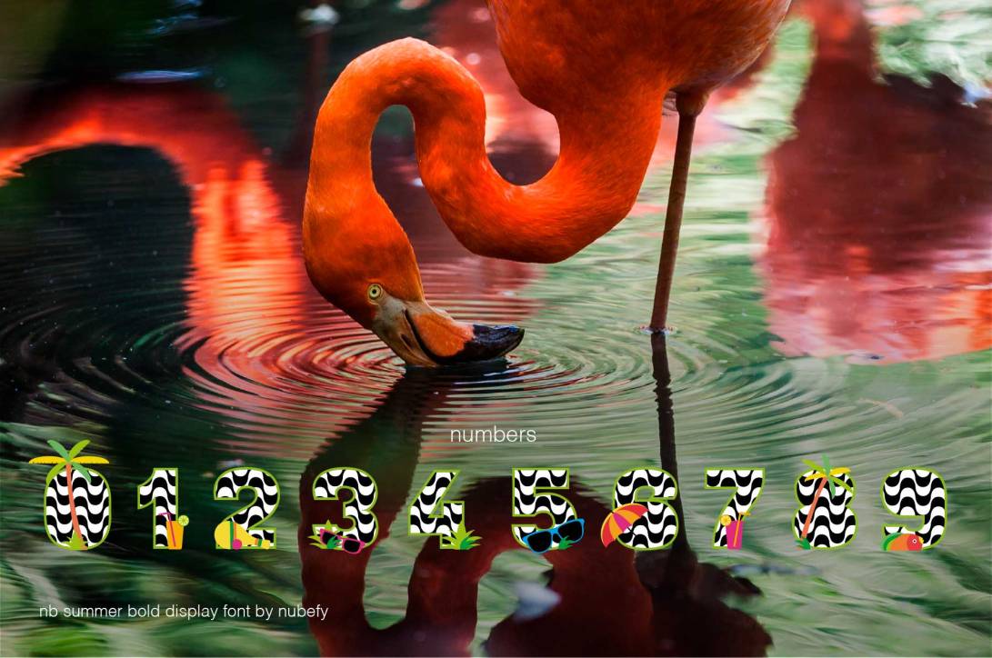 nb-numbers-summer-bold
