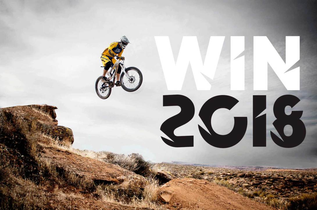 specimen_NB_DARK_FOREST_3B