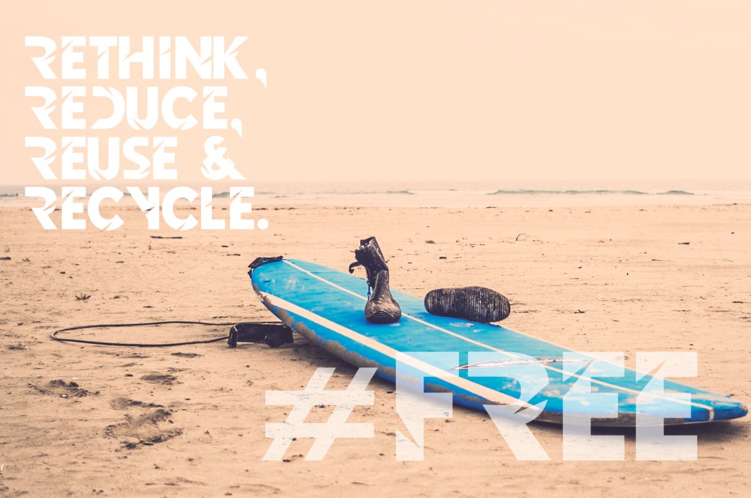 specimen_NB_DARK_FOREST_9