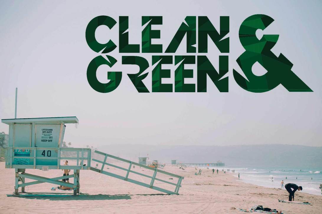 specimen_NB_GREEN_FOREST_2b