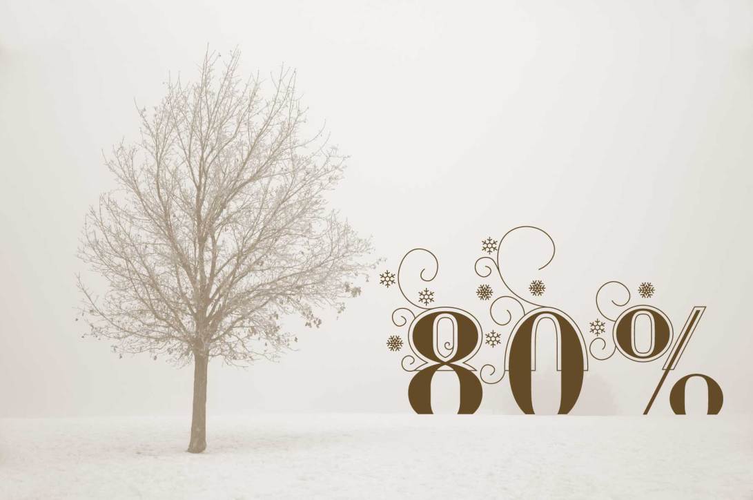 specimen_NB_WINTER_4D