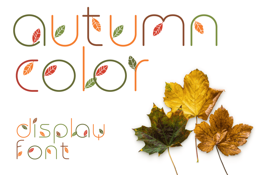 nb_autumn_color_01